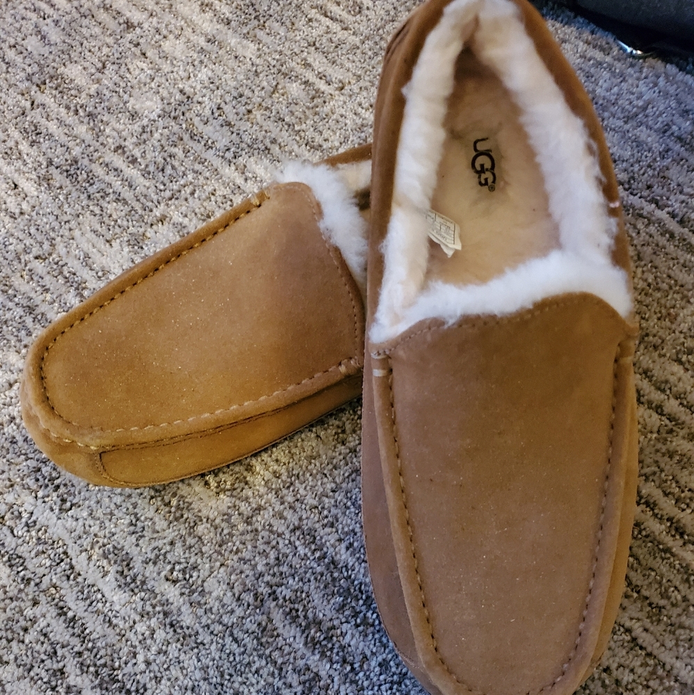 Ugg ascot slippers